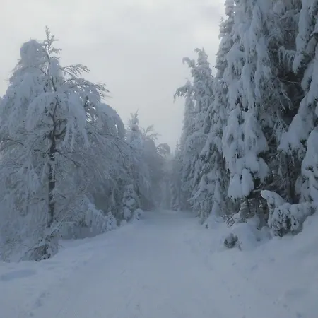 Haus Binder Ubytování v soukromí