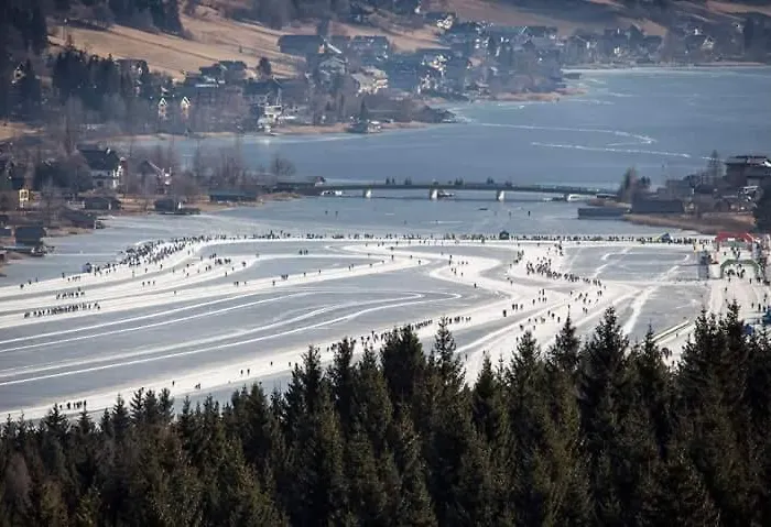 Проживание в семье Haus Binder