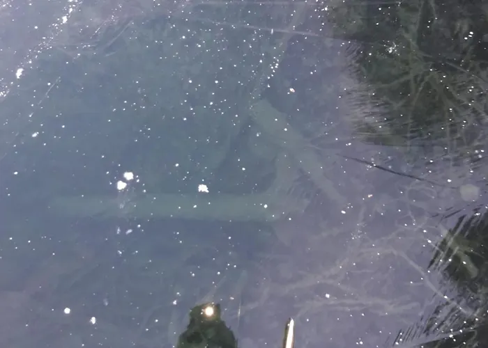 Haus Binder Weissensee