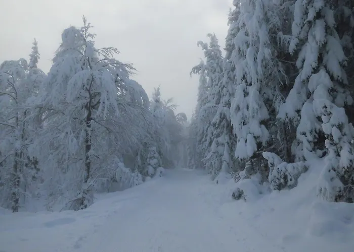 Haus Binder Homestay szállás